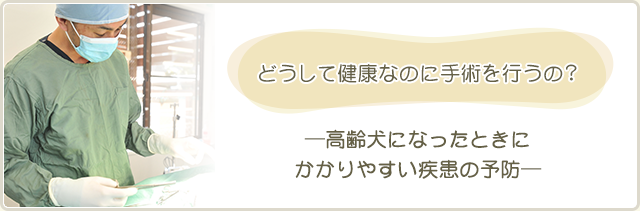 どうして健康なのに手術を行うの？－高齢犬になったときにかかりやすい疾患の予防－